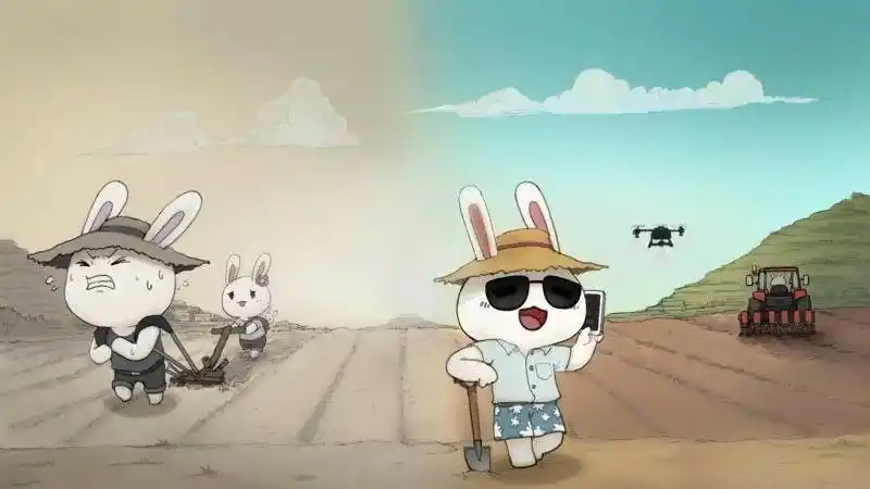 那年那兔那些事