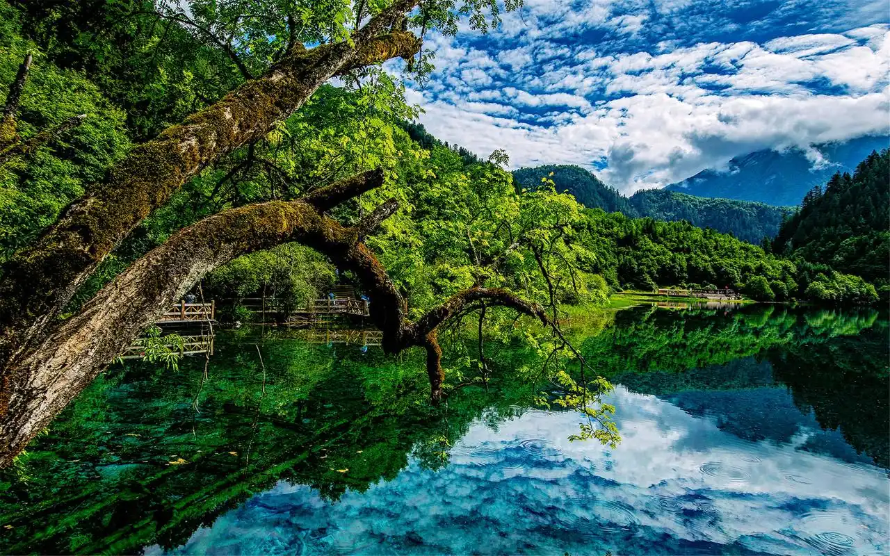 四川九寨沟夏日唯美自然风景壁纸图片大全下载