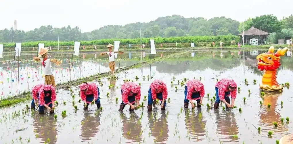 助推乡村全面振兴 促进城乡融合发展——松江区举办"健康中国 母亲