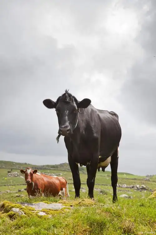 640_960竖版 竖屏