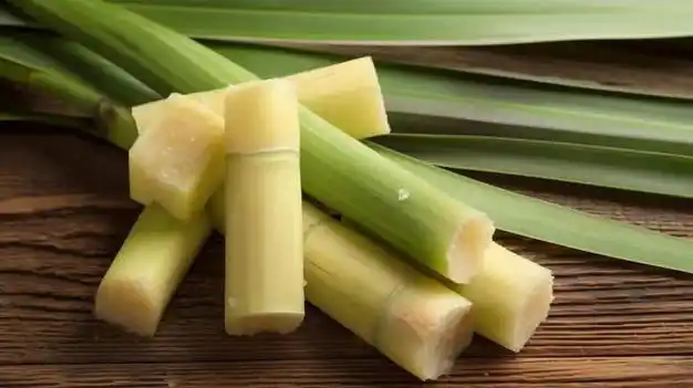 紧急提醒:不要吃|新鲜|中毒|毒素|甘蔗汁_网易订阅