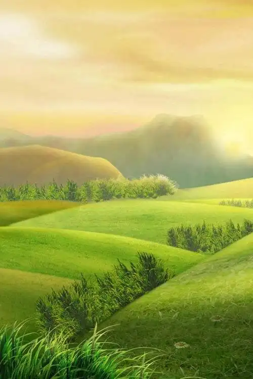 高清微信护眼图