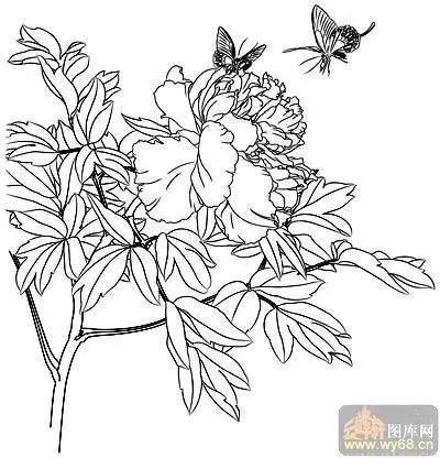 花开富贵-白描图-蝴蝶牡丹-12-牡丹全图