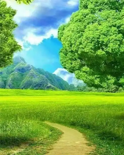 800_1000竖版 竖屏