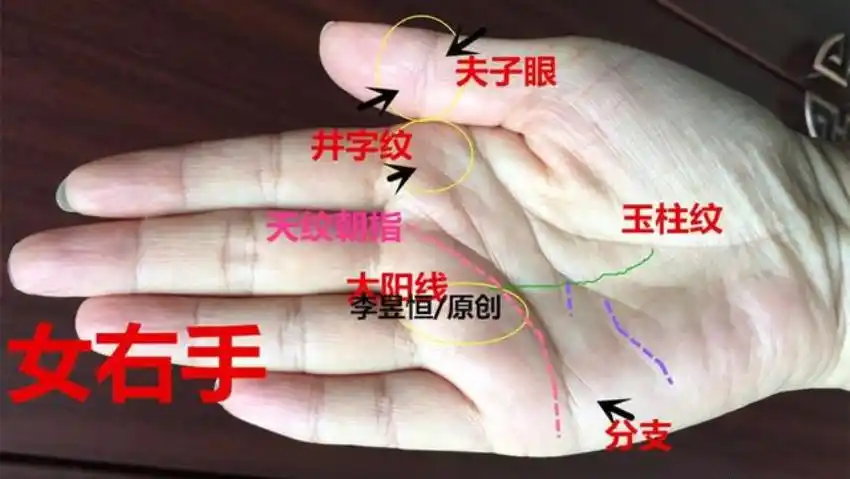 32岁会有明显的发展,后运顺畅;生命线深长并且有一条希望纹出现,代表