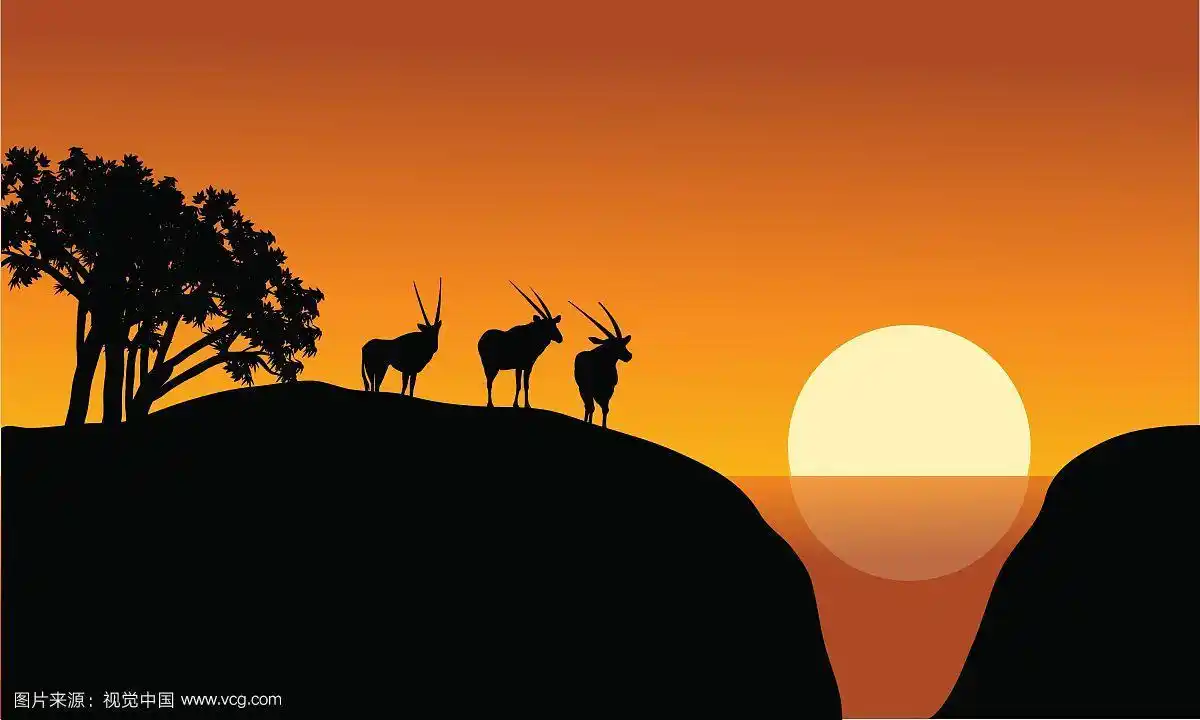 羚羊在悬崖上剪影