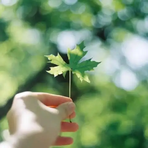 吸引人的快手头像风景图片 微光盛夏