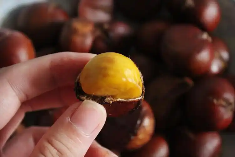 糖炒栗子有什么功效与作用(糖炒板栗你知道多少呢?