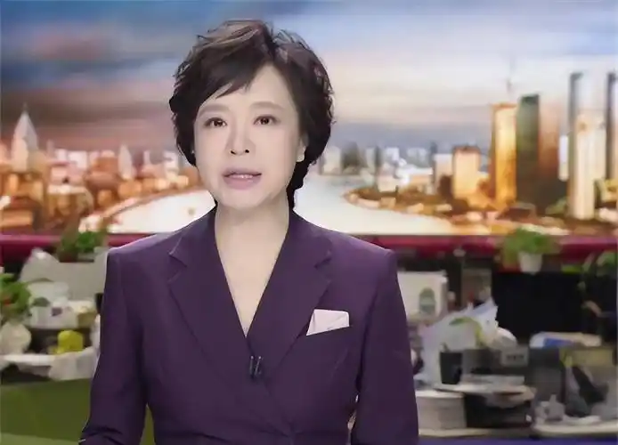 东方卫视主播叶蓉,2011年产女,复出后风韵犹存_家庭_节目_财富人生