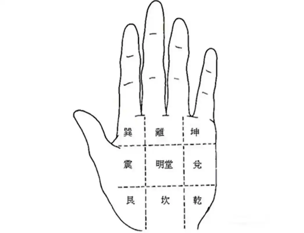 手诊分享掌中八卦-乾位〖1〗 1.乾位在兑位和坎位之间,手腕横纹之上.