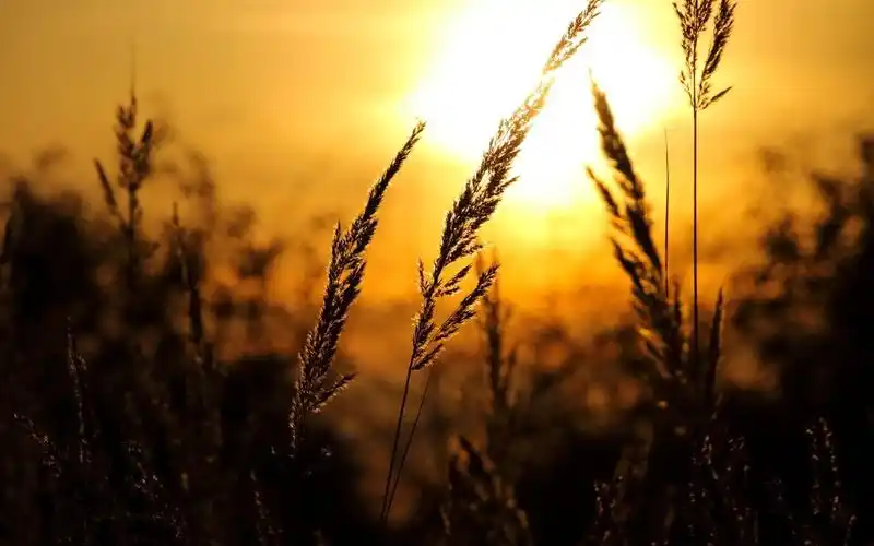 夕阳下的美景图片壁纸