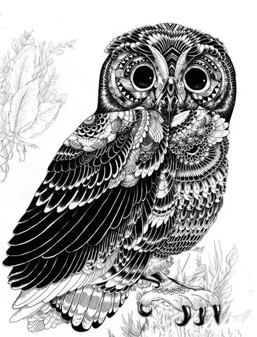 干货能拿高分的黑白装饰画纹样素材