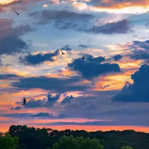 背景图 | 允许一切发生_网易订阅