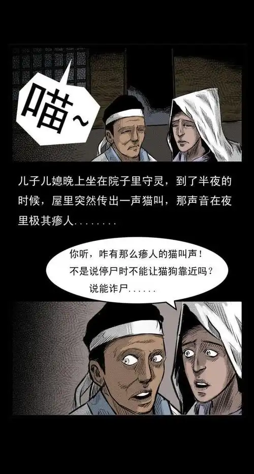 揭秘哈尔滨猫脸老太太灵异事件真相_网易订阅