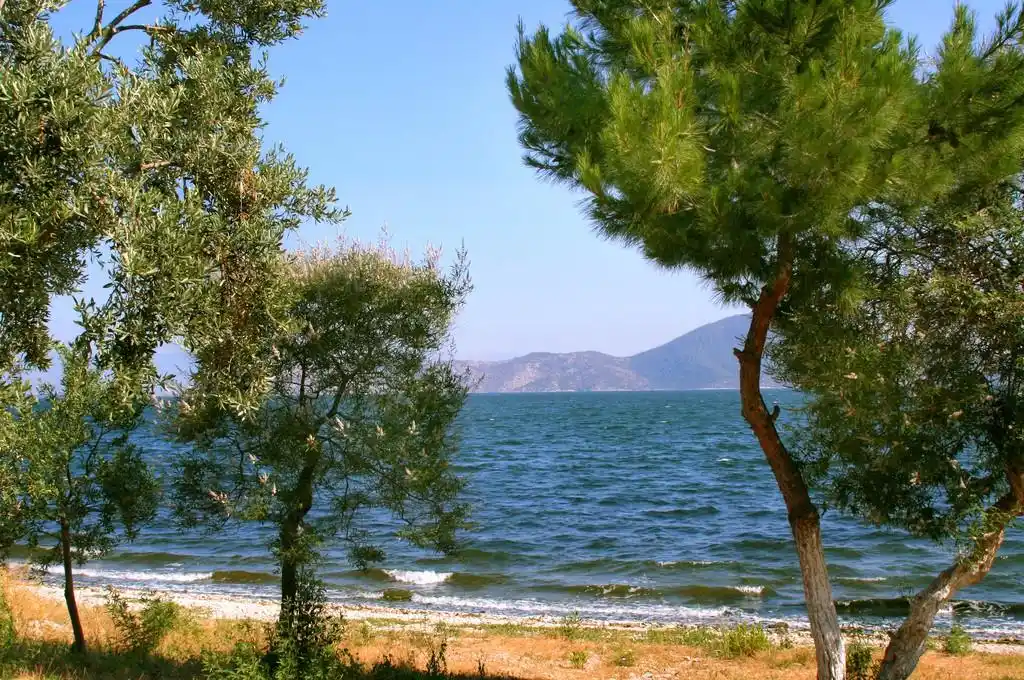 地中海景观,地中海景观与橄榄