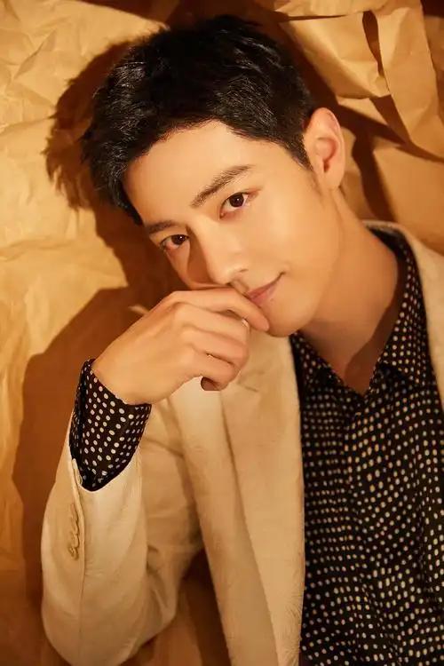 简单记录一下限定寸头肖战