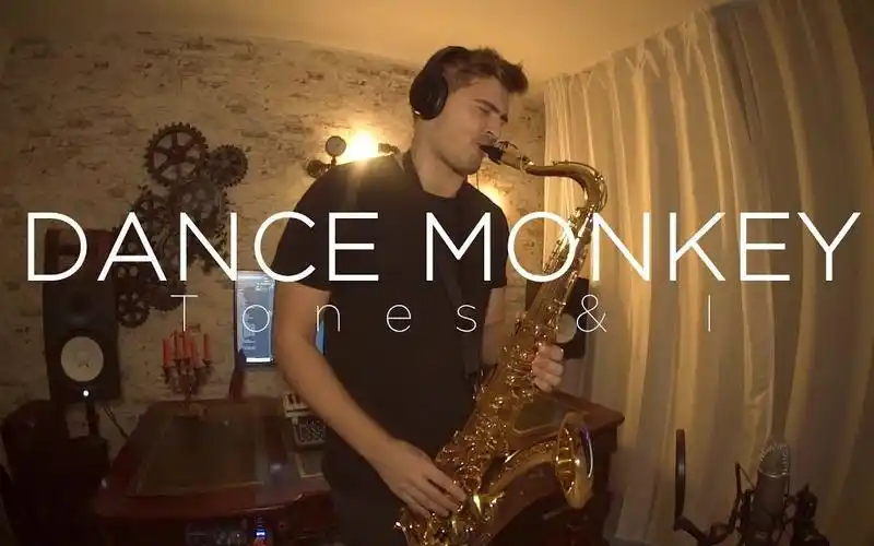 萨克斯dancemonkey合集共5ptonesandisaxophonecover