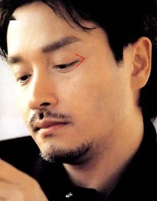 芳华绝代的张国荣长相不算惊艳为啥就是忘不了他的脸