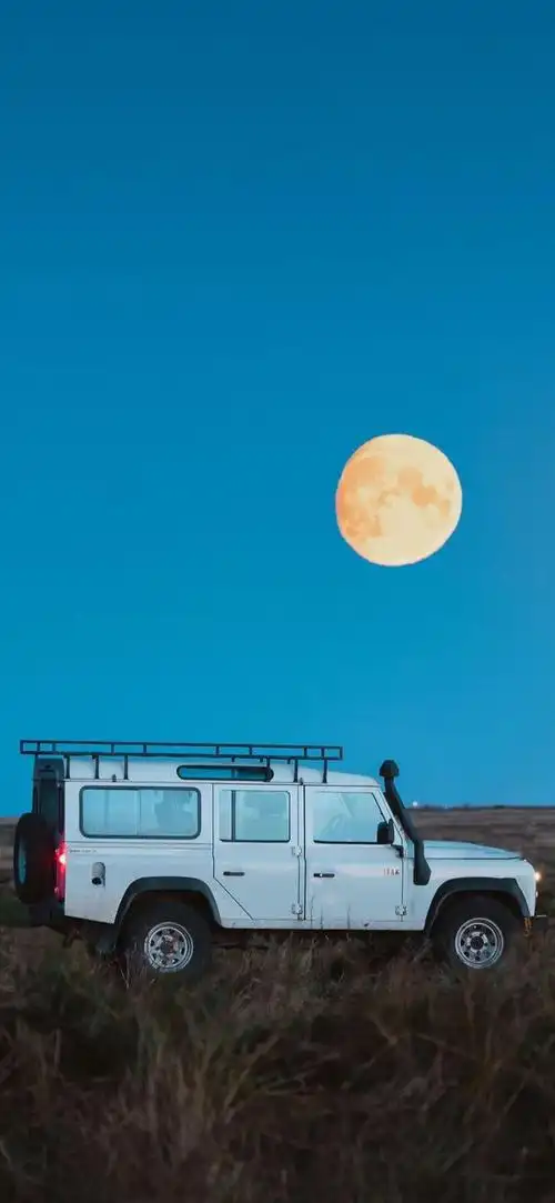 壁纸2021手机壁纸安排一组