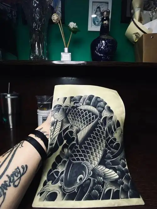 新传统鲤鱼 | 适合大臂 满背