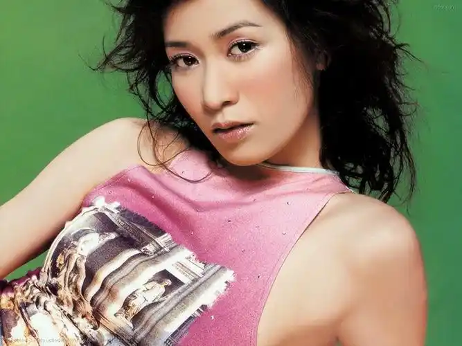 佘诗曼壁纸1024x768桌面图片-1024x768.151k.高清大图-明星写真馆n63.