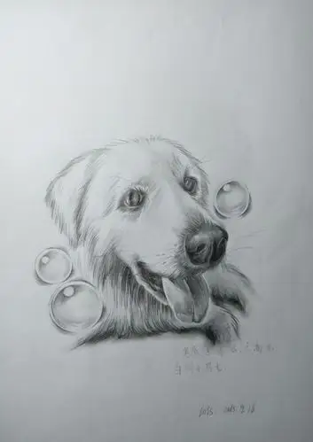 简单的基础素描图片精选