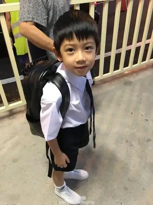 为什么说胡静是豪门阔太里最幸福的,看她儿子就知道了!