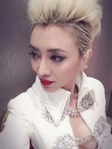 梅艳芳模仿秀张丽梅艳芳大咖秀商演出场费