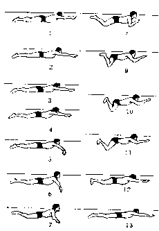 抱膝浮体2.头浸水憋气1.水中行走
