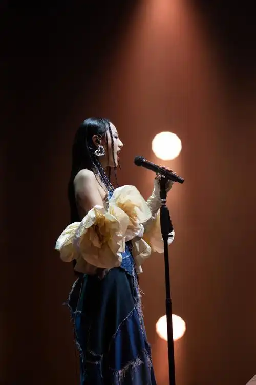 陈粒洄游全国巡回演唱会