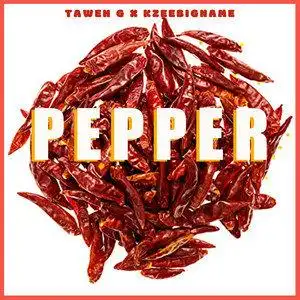 pepper - qq音乐-千万正版音乐海量无损曲库新歌热歌天天畅听的高品质