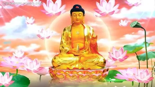 况且已经有佛祖的金色莲台展示在人前,如果让孙悟空用一个品阶不太高