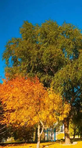 高清唯美无水印壁纸