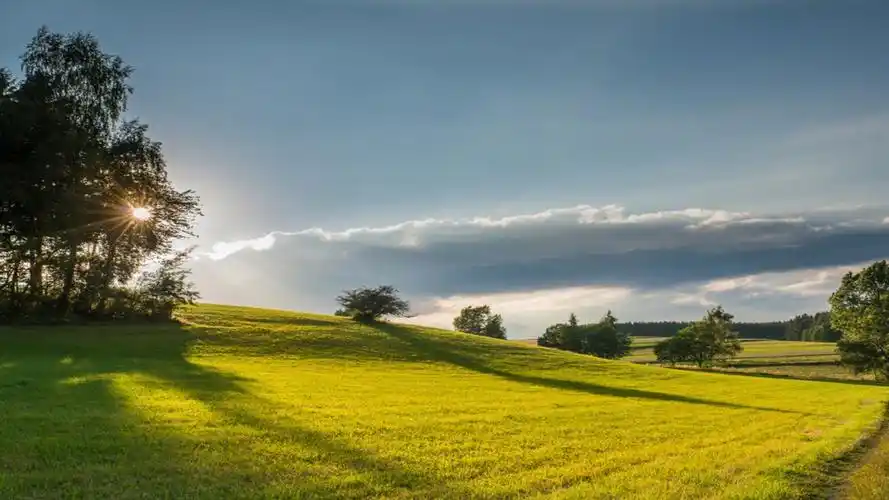 绿色养眼自然风景图片桌面壁纸高清大图预览1920x1080_风景壁纸下载