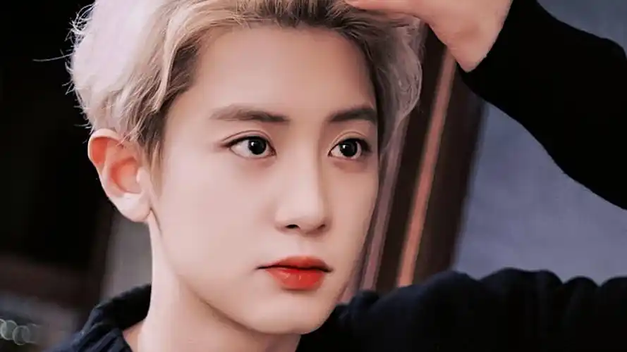 朴灿烈 -橙光素材/橙光男配