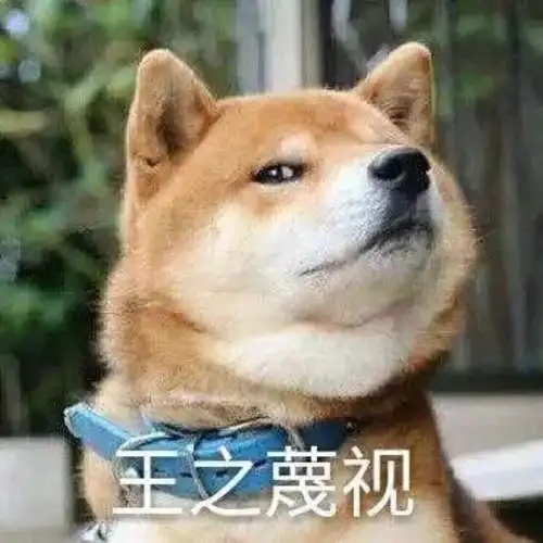 只不过这组狗狗表情包特别的逗比和搞笑