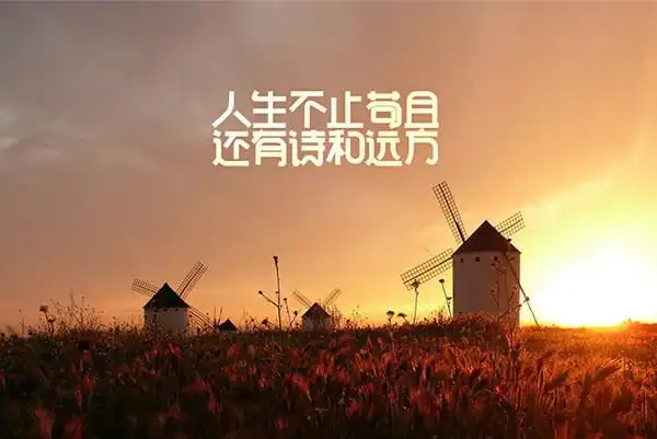 生活不只有眼前的苟且,还有诗和远方的田野