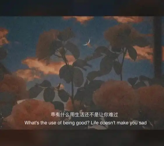 266本想把星星摘给你,后来想想还是算了吧,就算我够得着星星也够不