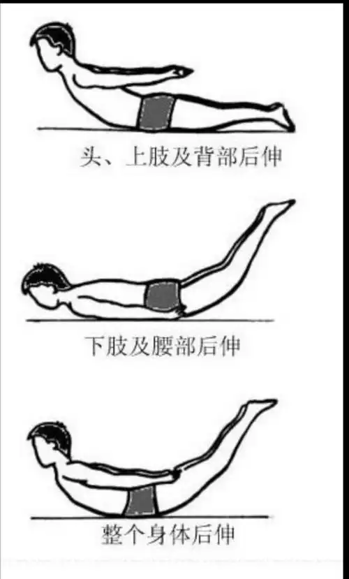 腰背肌锻炼方法一:小燕飞