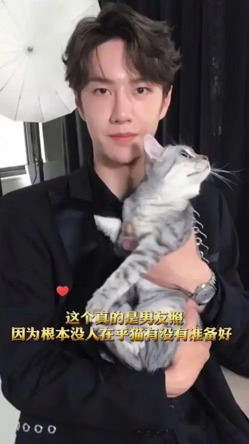 博君一肖#肖战王一博7815天空飘来五个字:猫说我不配!98#bjyx