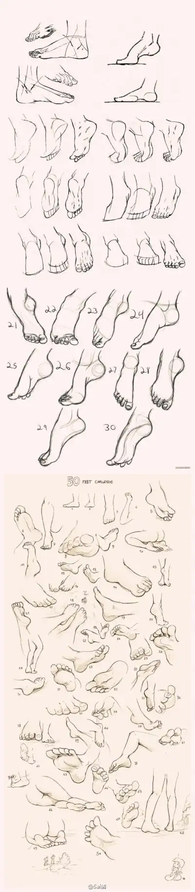 非常非常详细的脚部绘制参考,注意掌握脚趾间的角度关系把控,收藏学习