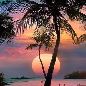 简约意境美翻了唯美风景头像7