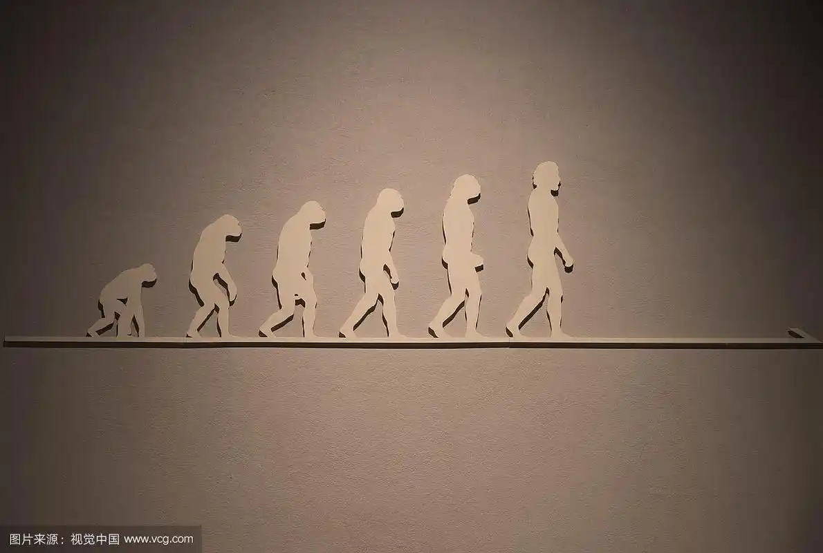 人类直立行走进化史