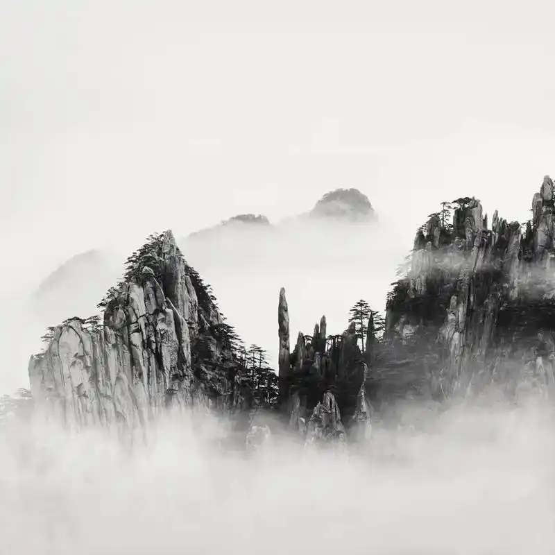 《每日一图》(水墨黄山)转发黑白摄影! - 抖音
