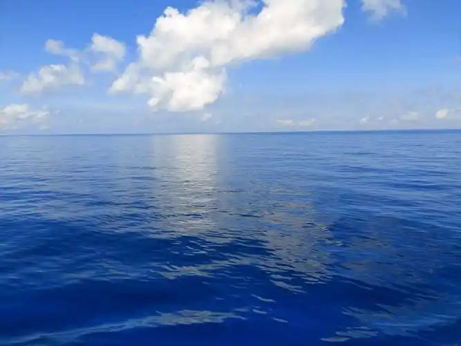 看着这么平静的海面  更想家了