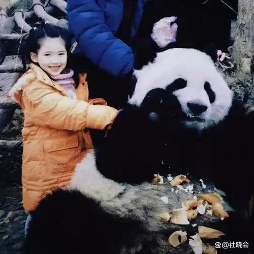 给大家看看赵露思上小学时的毕业照有多么可爱