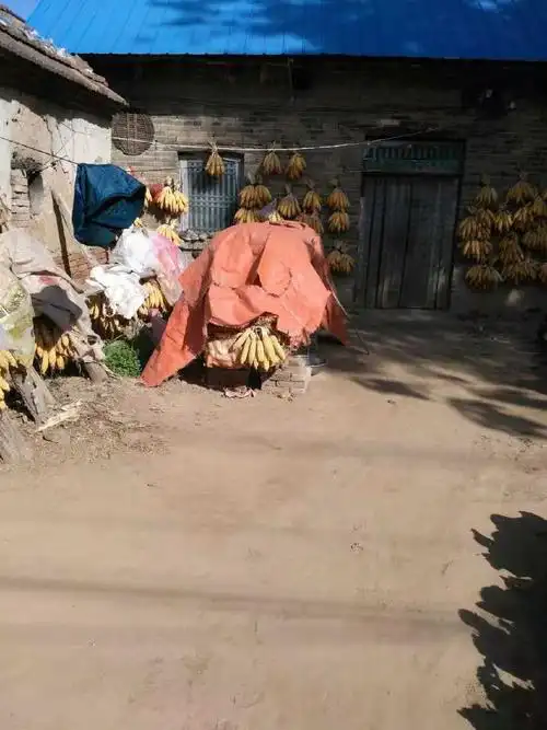 一代人的记忆,以前农村吃水全靠它