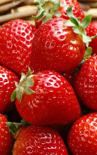 新鲜水嫩的草莓手机壁纸