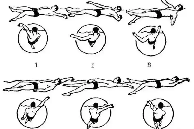 游泳换气技巧自由泳仰泳