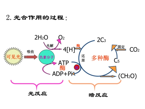 光合作用的过程和影响因素(修改).ppt